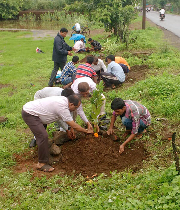 Tree-Plantation
